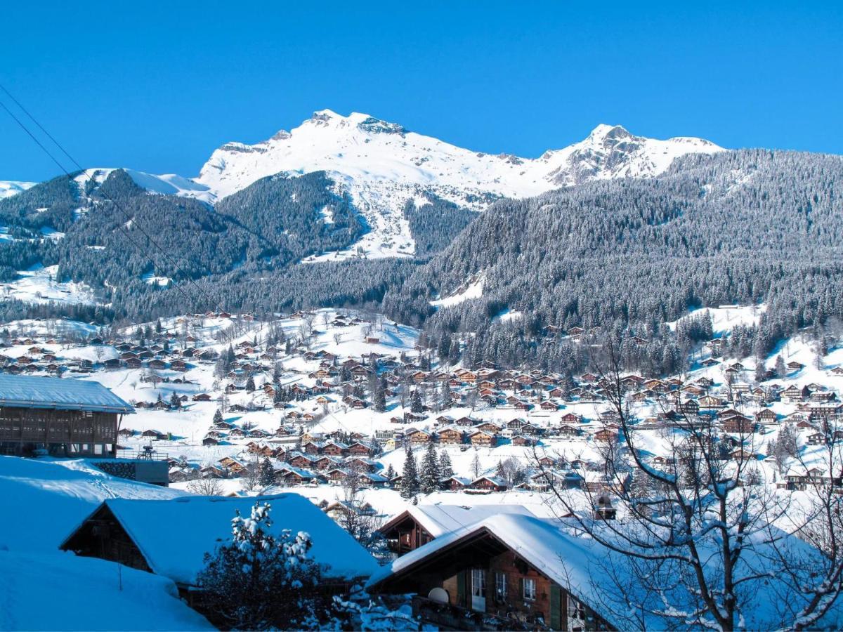 Apartment Chalet Butz By Interhome Grindelwald Luaran gambar