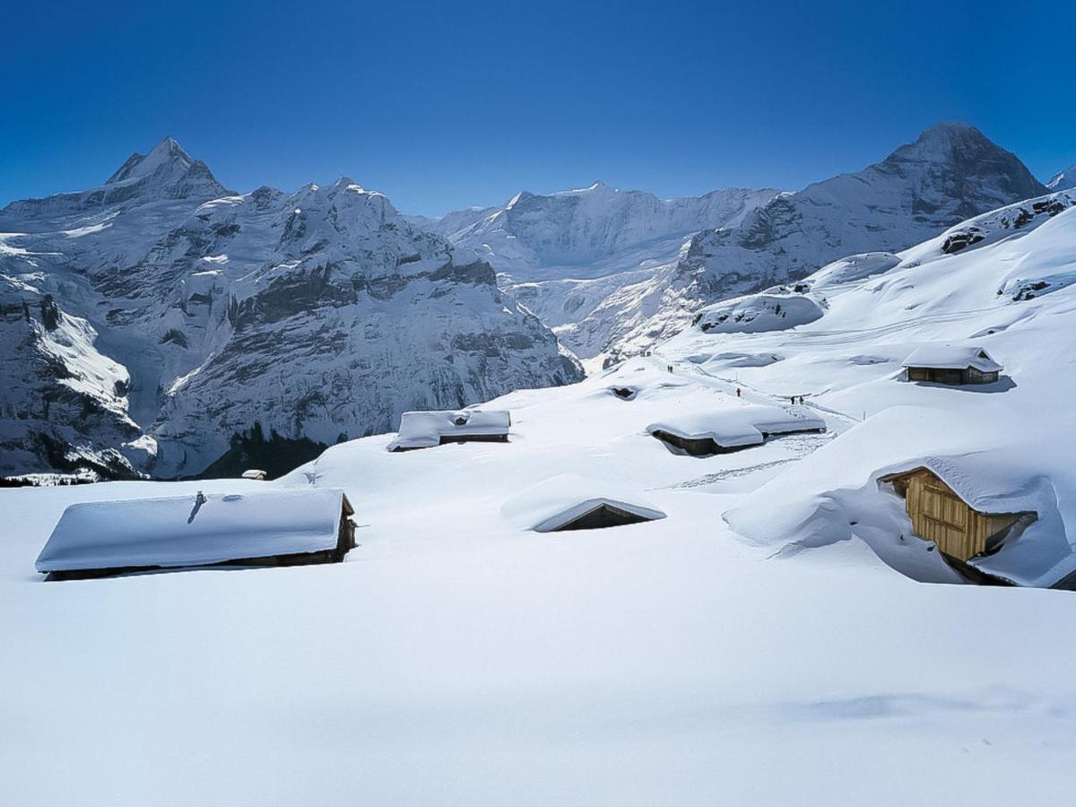 Apartment Chalet Butz By Interhome Grindelwald Luaran gambar